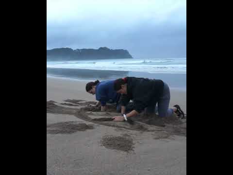 Hot Water Beach image